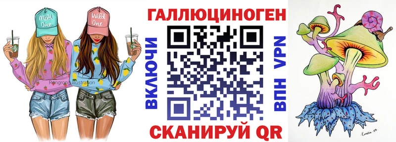 Псилоцибиновые грибы GOLDEN TEACHER  закладка  Сухой Лог 